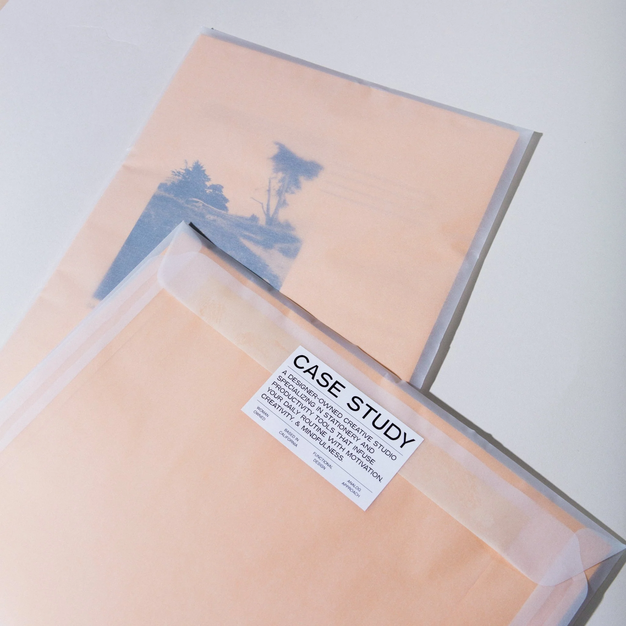 Set of 10 Manila Envelopes - Image 13